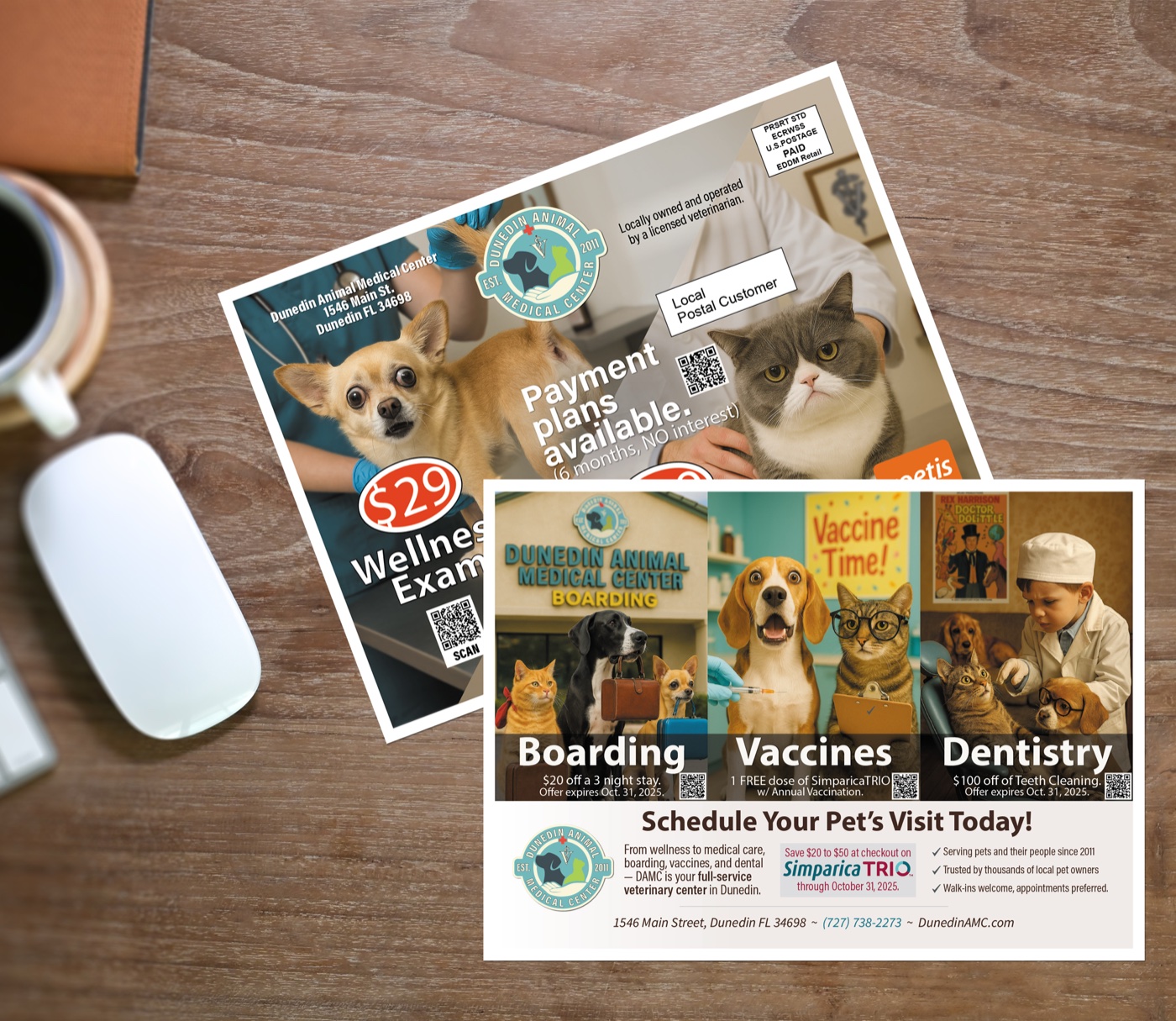 DAMC EDDM postcard design