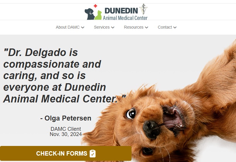 Dunedin Animal Medical Center